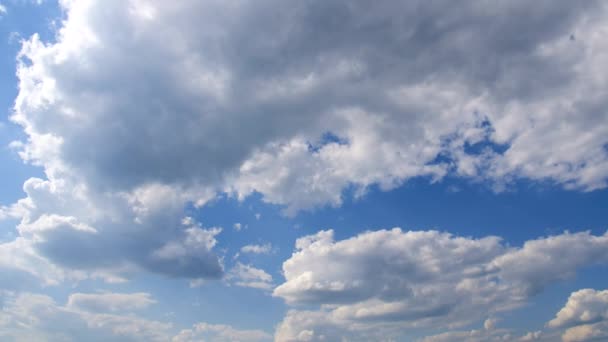 Taymlaps Cúmulos Nubes Contra Cielo Azul Nubes Densas Nubes Blancas — Vídeos de Stock