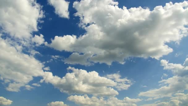Ταιμέλες Σύννεφα Στον Γαλάζιο Ουρανό Πυκνά Σύννεφα Φωτεινά Λευκά Σύννεφα — Αρχείο Βίντεο