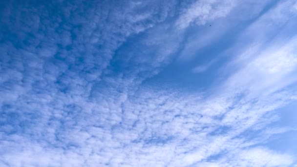 Άνοιξη μπλε ουρανό με σύννεφα. — Αρχείο Βίντεο
