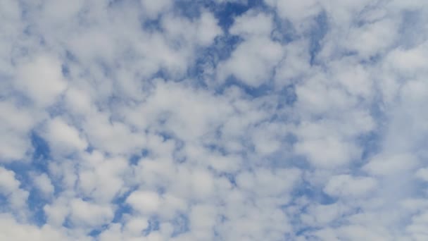 Mavi bir bahar gökyüzünde bulutlar — Stok video