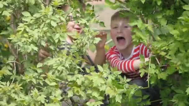 Os meninos olham por trás dos galhos verdes e fazem caretas . — Vídeo de Stock