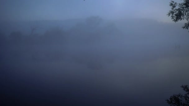 Fluss wird in der Morgendämmerung von weißem Nebel eingezogen. — Stockvideo