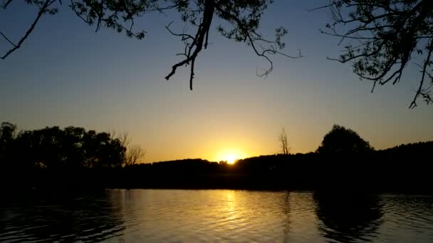 Il sole tramonta dietro gli alberi . — Video Stock