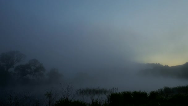 De rivier wordt binnen getrokken door witte nevel bij dageraad. — Stockvideo