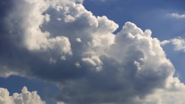 Taymlaps Cumulus Clouds Blue Sky Dense Clouds Bright White Clouds — Stock Video