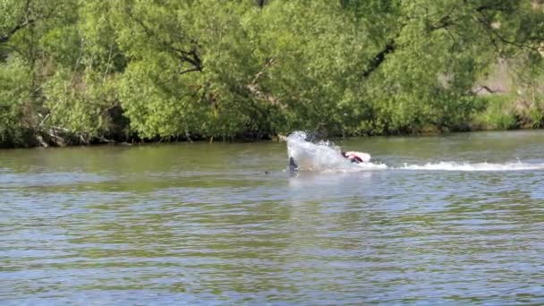 강에서 제트 스키. 스플래시가 떨어져 날기. — 비디오