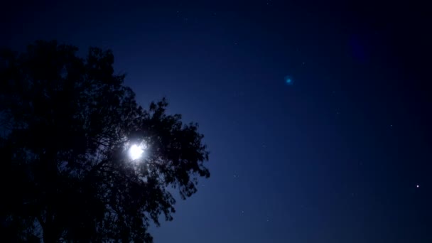 Gece yıldızlı gökyüzü. Gökyüzünde kayan bir yıldız. Ağaç dallarının arkasındaki ay. Gece gökyüzünde ayın hareketi. — Stok video