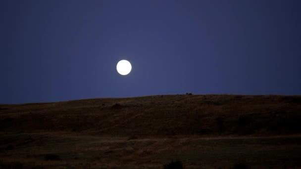 Der Mond geht in einem klaren blauen Himmel auf. Abend, der Einbruch der Dunkelheit. Vollmond. — Stockvideo