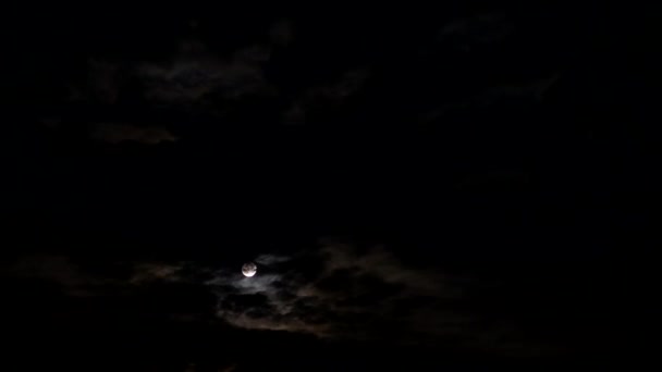 Ночное небо. Полнолуние выглядывает из-за облаков. . — стоковое видео