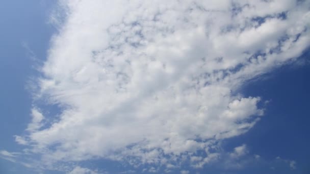 Nuvens cúmulos contra o céu azul . — Vídeo de Stock