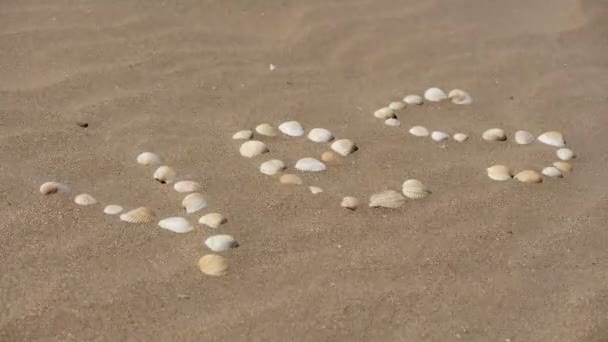砂の上の碑文。シェルから単語がレイアウトされています。砂の粒が風に吹かれた。砂の上に美しいドローイング. — ストック動画