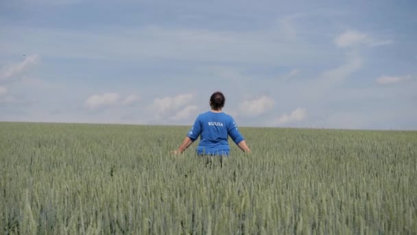 Mező. Női alak sétál át a területen a búza a távolban. — Stock videók