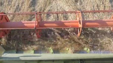 Mevsimlik tahıl hasadı. Hasat makinesini sahada birleştirin. Bulutlu mavi gökyüzünün arka planında tarım makineleri var. Yüksek verimli çavdar tarlası. İşlemci, Biçici ile birlikte sahada. Mevsimlik hasat. Kapat..