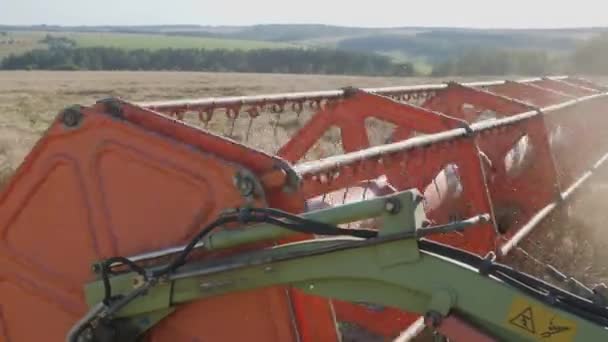 Colheita Sazonal Grãos Combine Colheitadeira Campo Máquinas Agrícolas Fundo Céu — Vídeo de Stock