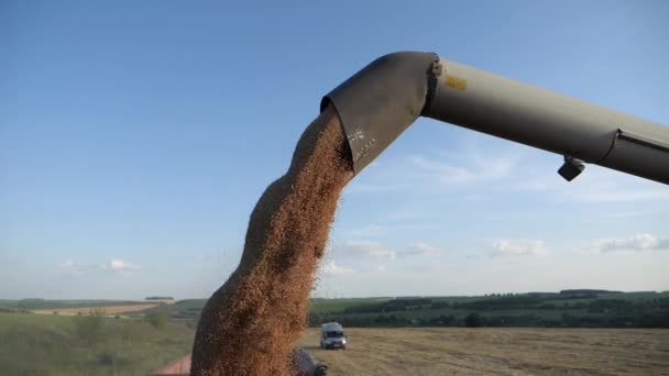 Sezonowe Zbiory Zbóż Połączyć Kombajn Terenie Maszyny Rolnicze Tle Błękitnego — Wideo stockowe