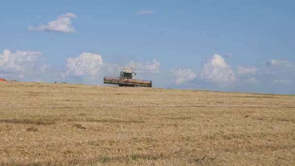 粮食作物季节性收获 在田里联合收割机 农业机械在蓝天的背景下布满了云彩 黑麦的高产田 在现场与收割者一起工作的处理器 季节性收获 总计划 — 图库视频影像