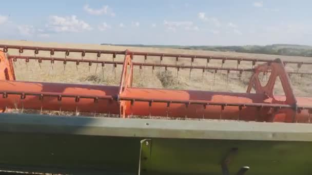 Seasonal Harvesting Grain Crops Combine Harvester Field Agricultural Machinery Background — Stock Video