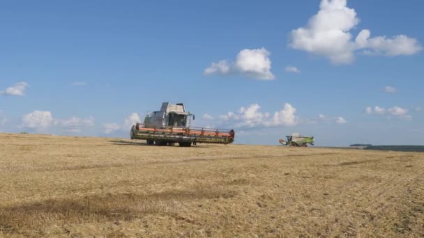 21 iulie 2020 - Editorial - Mtsensk, regiunea Oryol, Rusia: Combină CLAAS LEXION 560 V750. Recoltarea sezonieră a culturilor de cereale. Combinați recoltatorul în câmp . — Videoclip de stoc