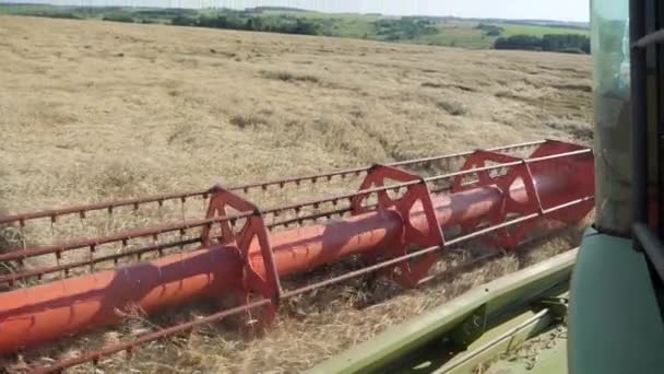 Seasonal harvesting of grain crops. Combine harvester in the field. — Stock Video