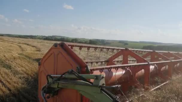 21 de julho de 2020 - Editorial - Mtsensk, região de Oryol, Rússia: Combine CLAAS LEXION 560 V750. Colheita sazonal de grãos. Combine colheitadeira no campo. — Vídeo de Stock