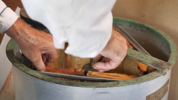 Enlèvement Miel Nid Abeille Extracteur Miel Tourne Avec Des Cadres — Video