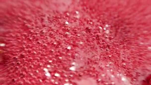 Hallonsirap. Rosa bakgrund med bubblande bubblor och hallon. — Stockvideo