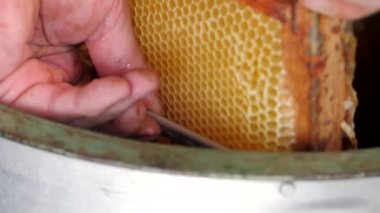 Bal peteğinden balın çıkarılması. Bal sökücü çerçevelerle dönüyor bal petekleri, bal pompalama. Bal peteğinden bal almak.
