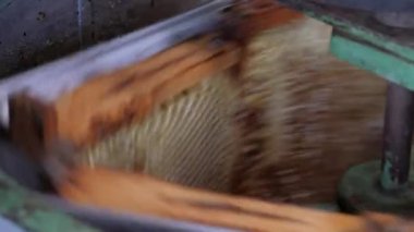 Bal peteğinden balın çıkarılması. Bal sökücü çerçevelerle dönüyor bal petekleri, bal pompalama. Bal peteğinden bal almak.