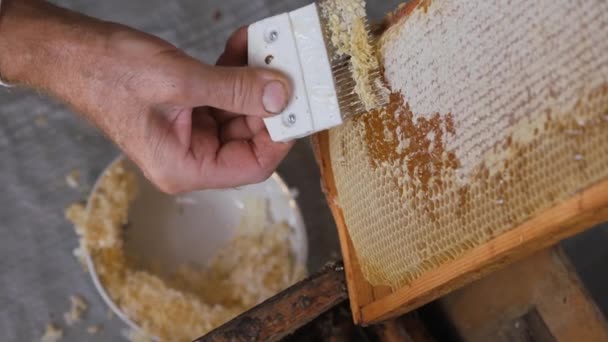 Schraper Voor Honingraat Werk Met Een Kam Een Honingraat Drukken — Stockvideo