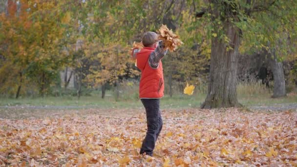 Kültéri Játékok Őszi Táj Ősz Gyerekek Fák Lehullott Leveleivel Játszanak — Stock videók