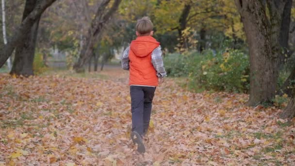 Відкриті Ігри Осінній Пейзаж Осінь Діти Граються Опалим Листям Дерев — стокове відео