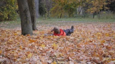 Açık hava oyunları. Sonbahar manzarası. Sonbahar. Çocuklar devrilmiş ağaç yapraklarıyla oynarlar. Oğlan düşen sonbahar yapraklarında yuvarlanıyor..