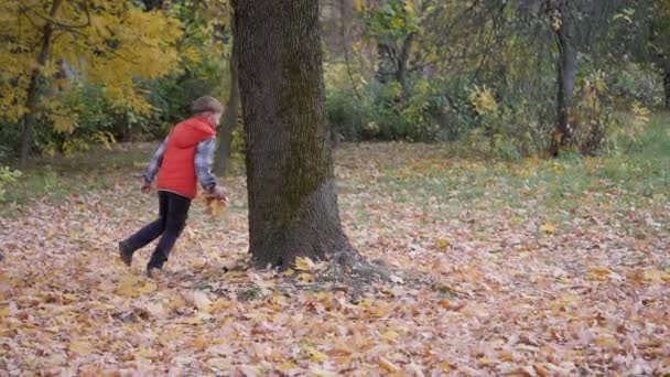 Outdoor Games Autumn Landscape Autumn Children Play Fallen Leaves Trees — Stock Video
