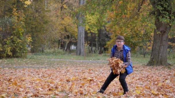 Gry Świeżym Powietrzu Jesienny Krajobraz Jesienią Dzieci Bawią Się Opadłymi — Wideo stockowe