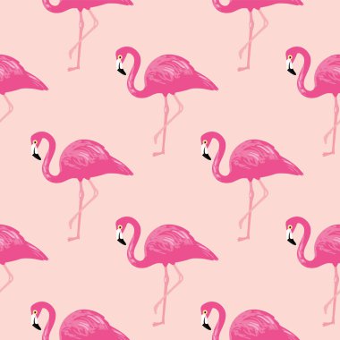 Vektör flamingolar ile seamless modeli