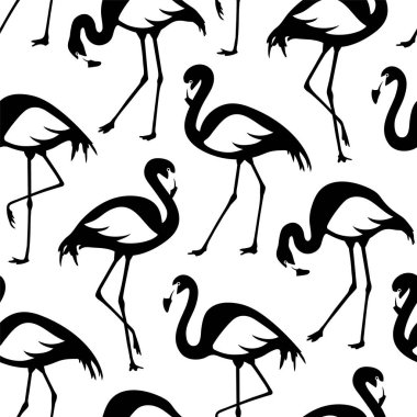 Siyah ve beyaz flamingolu vektör deseni