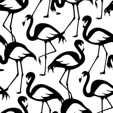 Siyah ve beyaz flamingolu vektör deseni