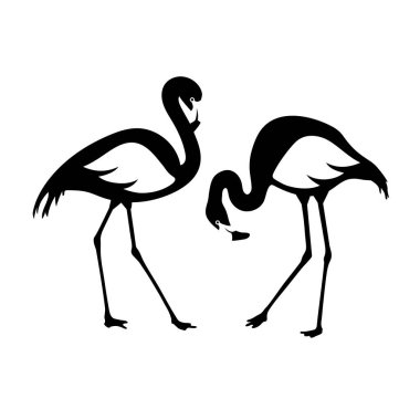 Vektör flamingo çiftini izole etti. Siyah beyaz illüstrasyon