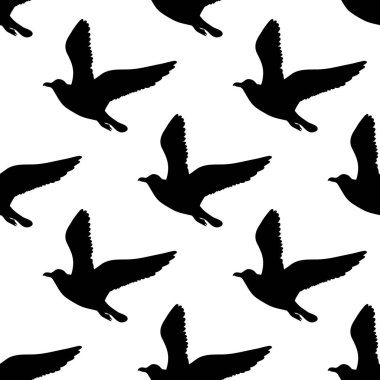 Martıların siluetlerinde kusursuz bir iz var. Siyah ve beyaz