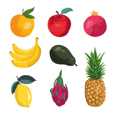 Meyve seti: elma, avokado, armut, ejderha meyvesi, limon, portakal, ananas, nar, muz.