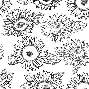 Ayçiçeği desenli kusursuz vektör deseni. Siyah beyaz illüstrasyon