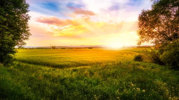 Reggeli Nap Megvilágított Mezőgazdasági Földterület Stock Kép