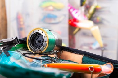 ahşap arka planda parlak farklı balıkçılık ele. 