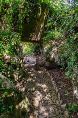 Sintra doğal orman parkı Pena, Portekiz