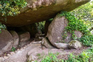 Sintra doğal orman parkı Pena, Portekiz