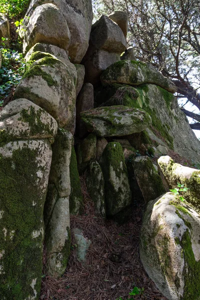 Parc forestier naturel Pena à Sintra, Portugal — Photo