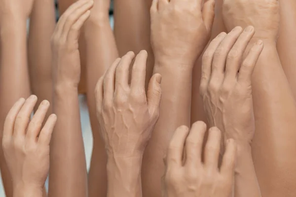 Выставка мужских и женских силиконовых протезных рук — стоковое фото