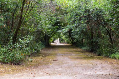 Parktaki toprak yolu. Bulutlu bir gün