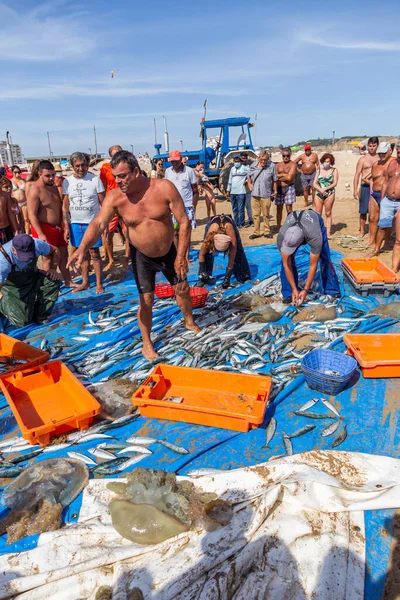 Costa Caparica Portugal Setembro 2020 Artel Pescadores Arrasta Peixes Praia — Fotografia de Stock