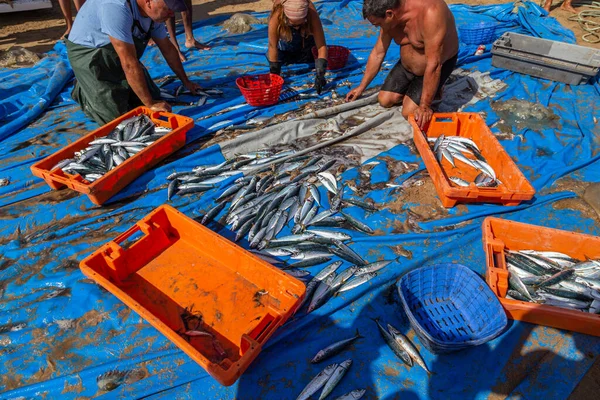 Costa Caparica Portugal Setembro 2020 Artel Pescadores Arrasta Peixes Praia — Fotografia de Stock